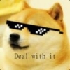 Dogerrific